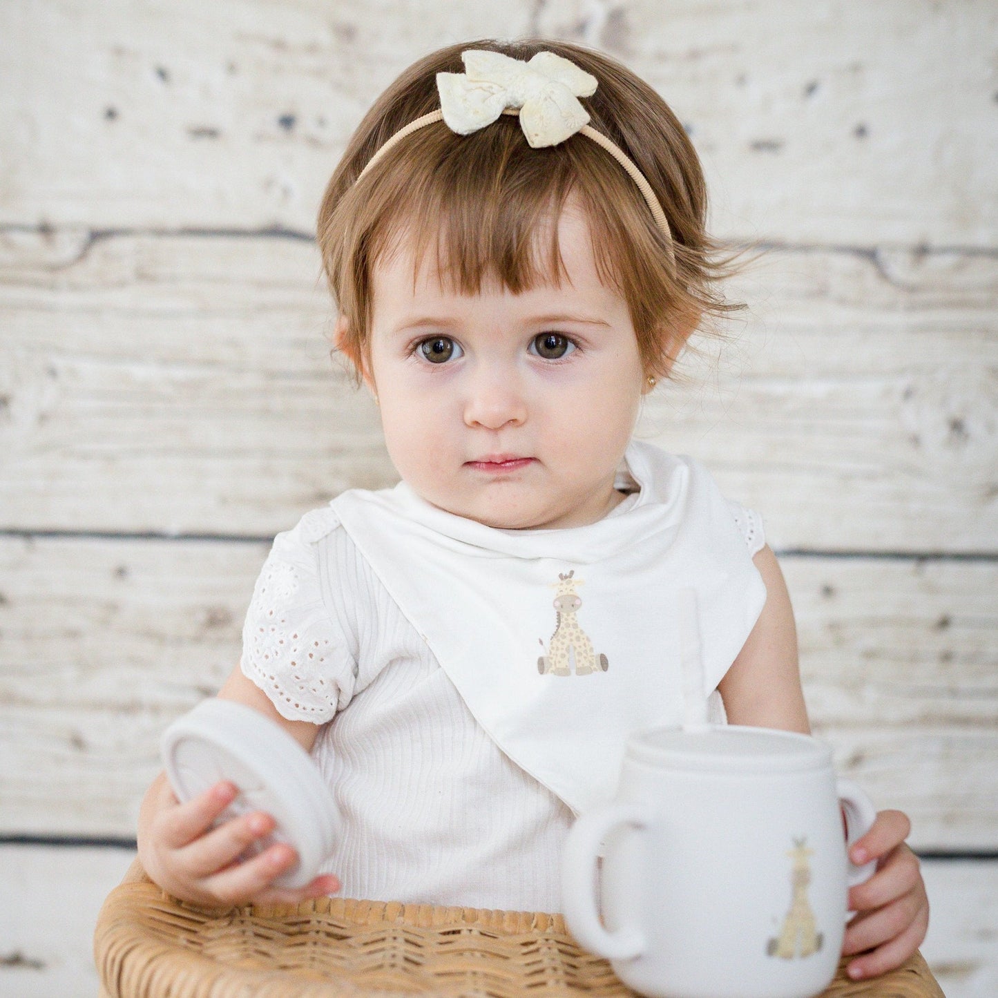 Baby Bibs (Set of Two)