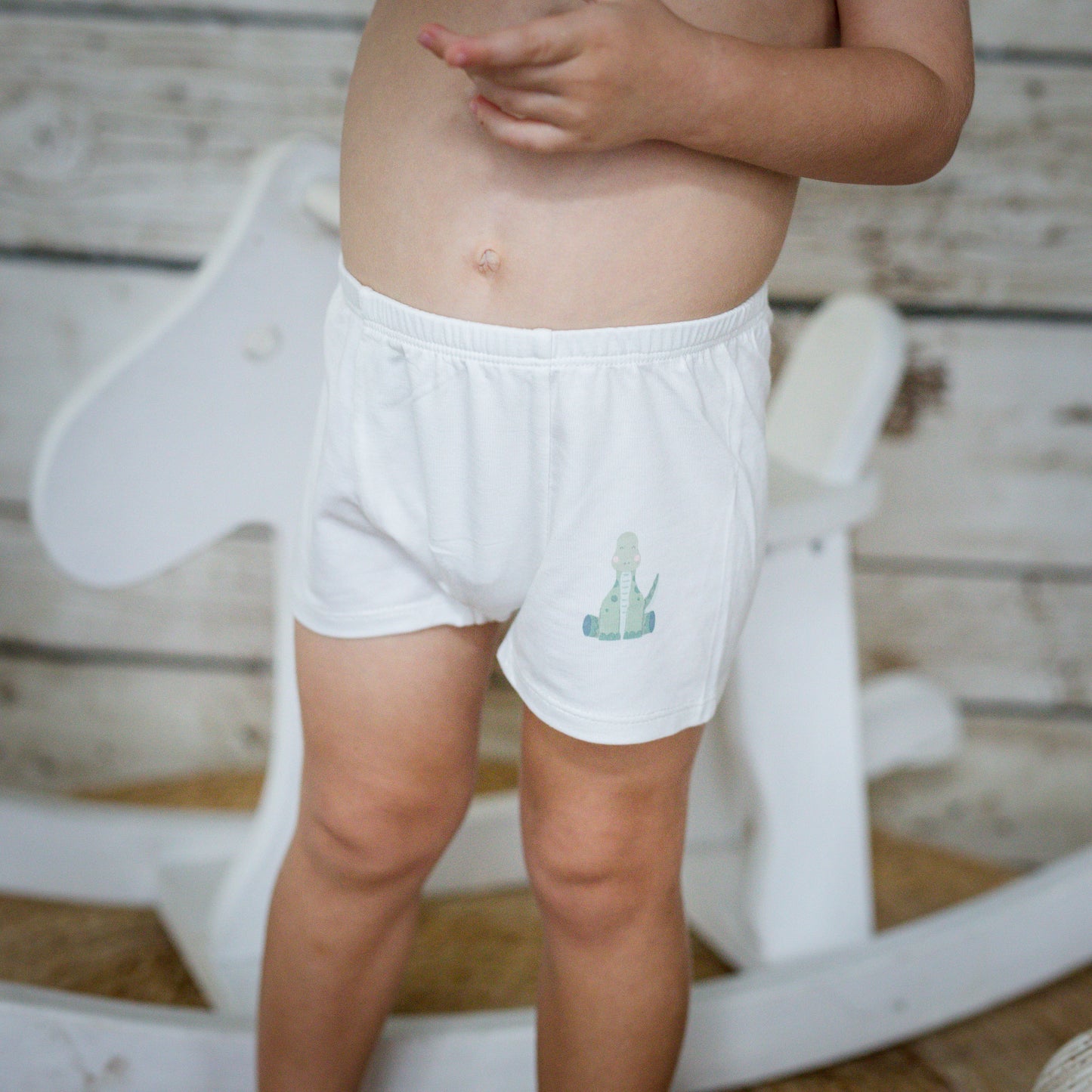 Bamboo Boy Underwear (Set of 3)