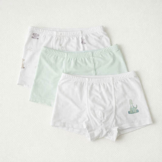 Bamboo Boy Underwear (Set of 3)